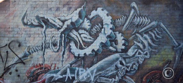 2019 DSC_0087_fixed